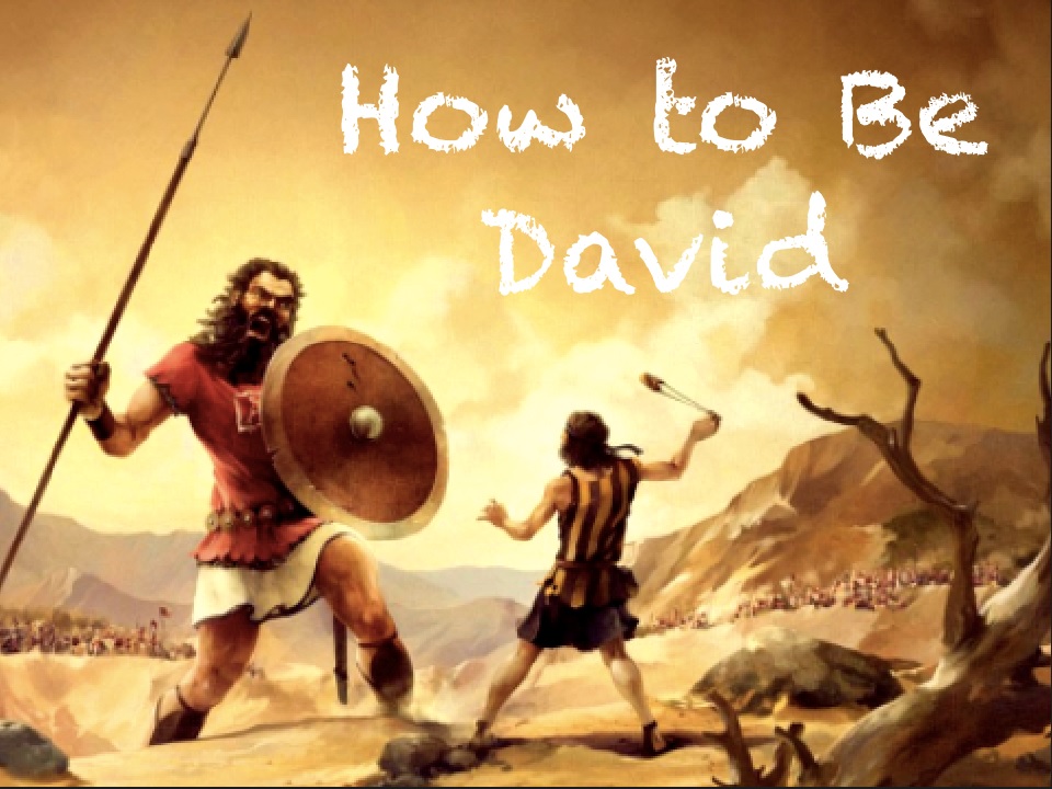 david david