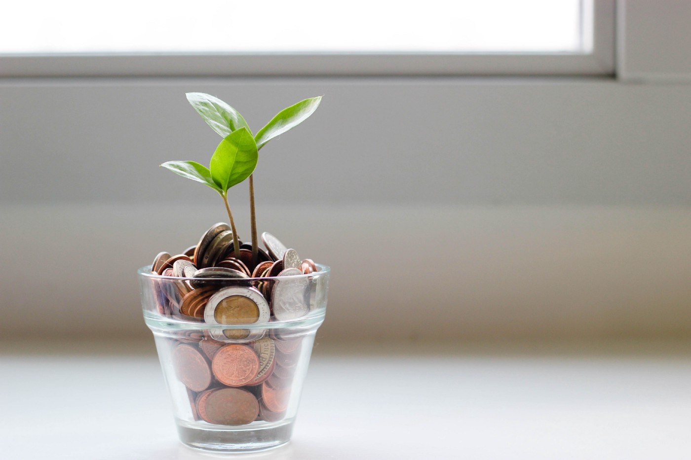 growing Photo by Micheile Henderson via <a href=sot4-mzhyhe.html Unsplash </a>
