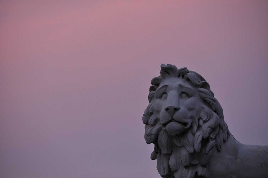 LIONBoardImage A Lion in Westminster